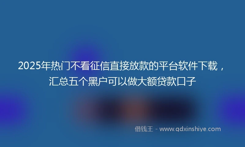 2025年热门不看征信直接放款的平台软件下载，汇总五个黑户可以做大额贷款口子