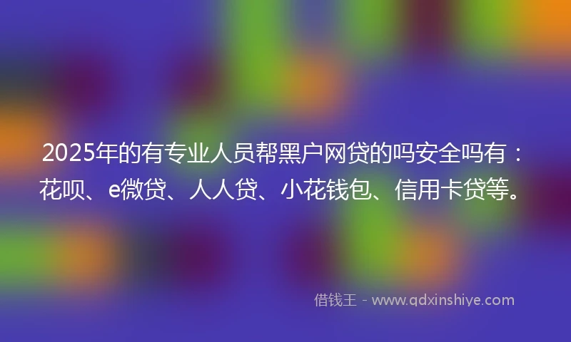2025年的有专业人员帮黑户网贷的吗安全吗有：花呗、e微贷、人人贷、小花钱包、信用卡贷等。