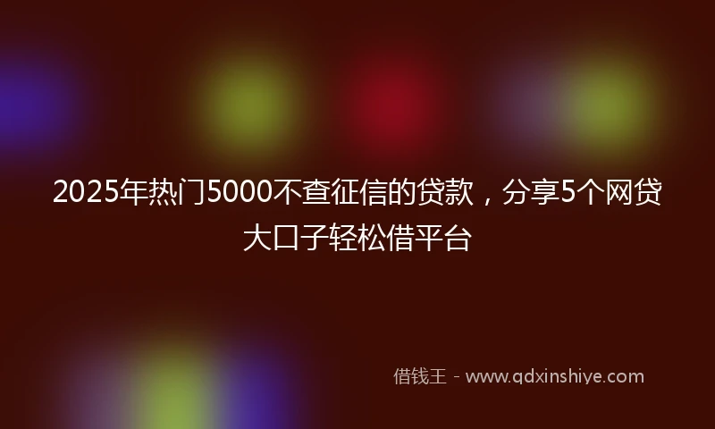 2025年热门5000不查征信的贷款，分享5个网贷大口子轻松借平台