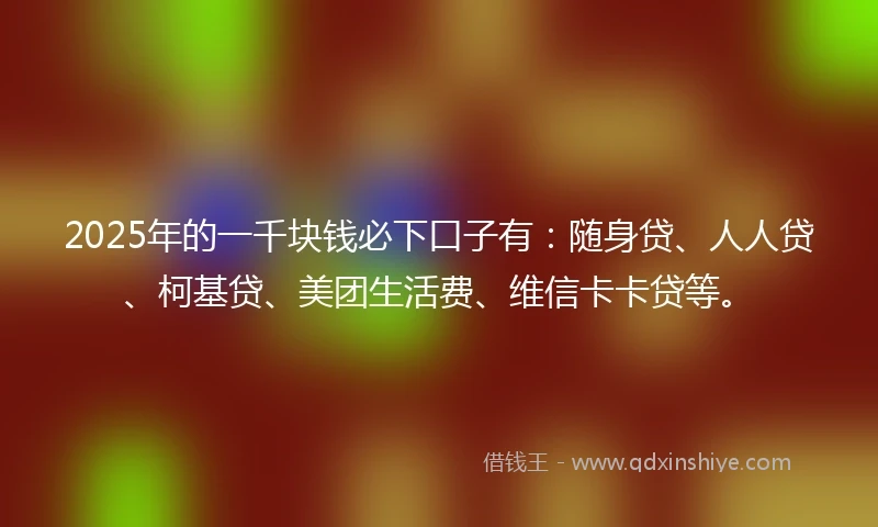 2025年的一千块钱必下口子有：随身贷、人人贷、柯基贷、美团生活费、维信卡卡贷等。