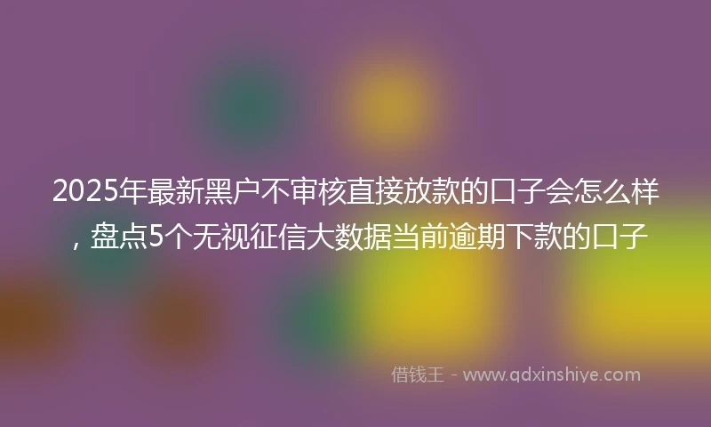 2025年最新黑户不审核直接放款的口子会怎么样,盘点5个无视征信大数据当前逾期下款的口子