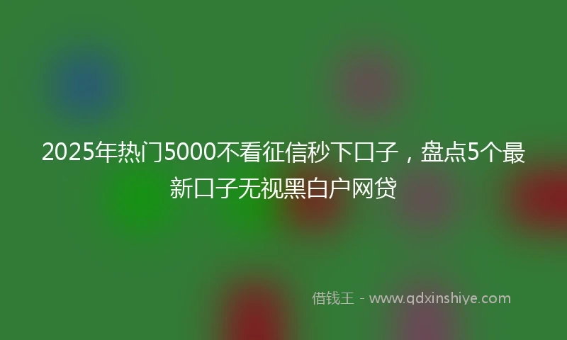 2025年热门5000不看征信秒下口子，盘点5个最新口子无视黑白户网贷