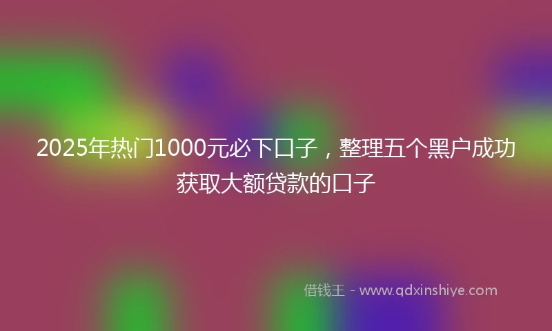 2025年热门1000元必下口子，整理五个黑户成功获取大额贷款的口子