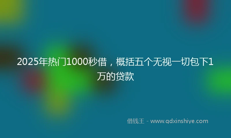 2025年热门1000秒借，概括五个无视一切包下1万的贷款