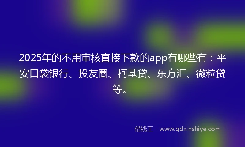 2025年的不用审核直接下款的app有哪些有：平安口袋银行、投友圈、柯基贷、东方汇、微粒贷等。