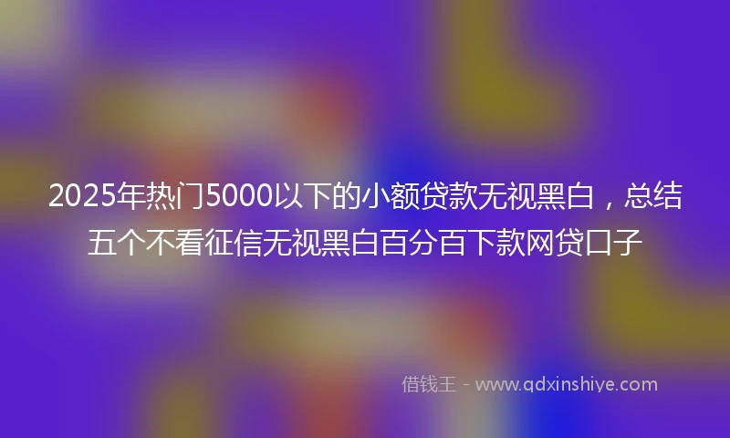 2025年热门5000以下的小额贷款无视黑白，总结五个不看征信无视黑白百分百下款网贷口子