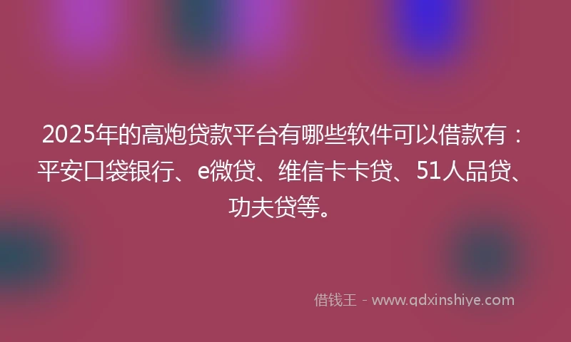 2025年的高炮贷款平台有哪些软件可以借款有：平安口袋银行、e微贷、维信卡卡贷、51人品贷、功夫贷等。