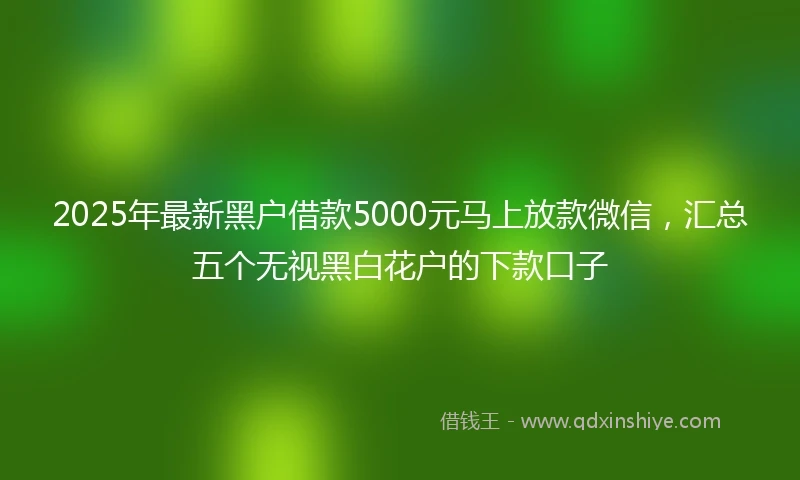 2025年最新黑户借款5000元马上放款微信,汇总五个无视黑白花户的下款口子