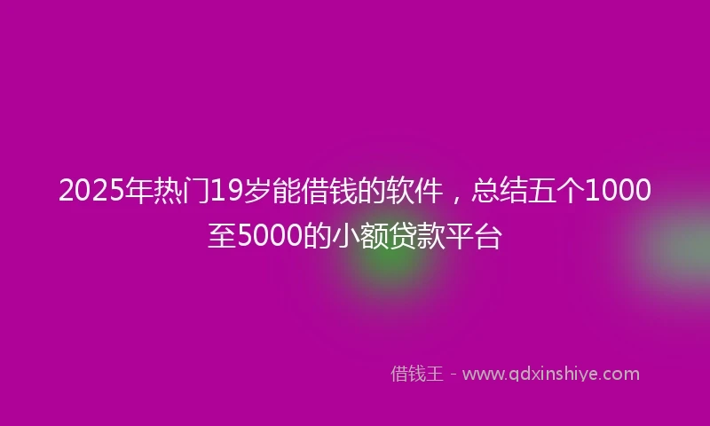 2025年热门19岁能借钱的软件，总结五个1000至5000的小额贷款平台