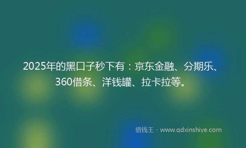 2025年的黑口子秒下有：京东金融、分期乐、360借条、洋钱罐、拉卡拉等。