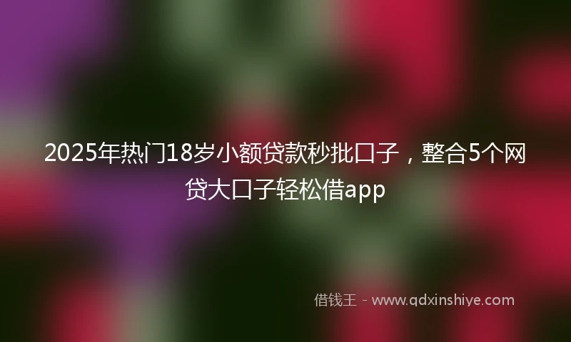 2025年热门18岁小额贷款秒批口子，整合5个网贷大口子轻松借app