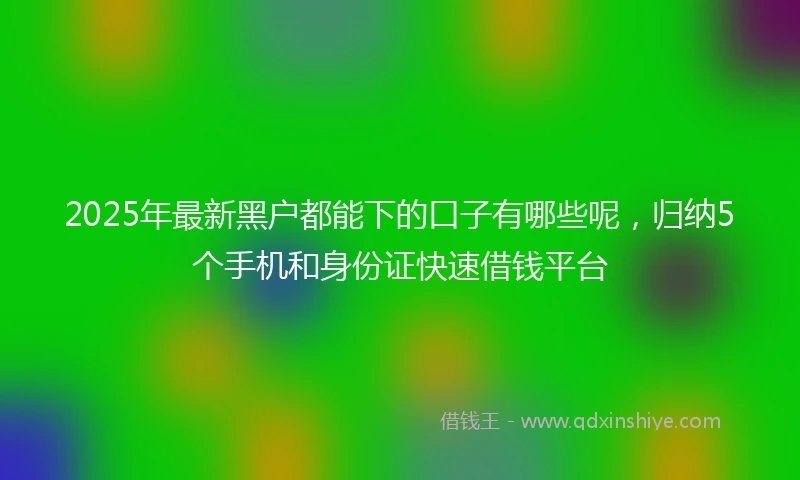 2025年最新黑户都能下的口子有哪些呢，归纳5个手机和身份证快速借钱平台