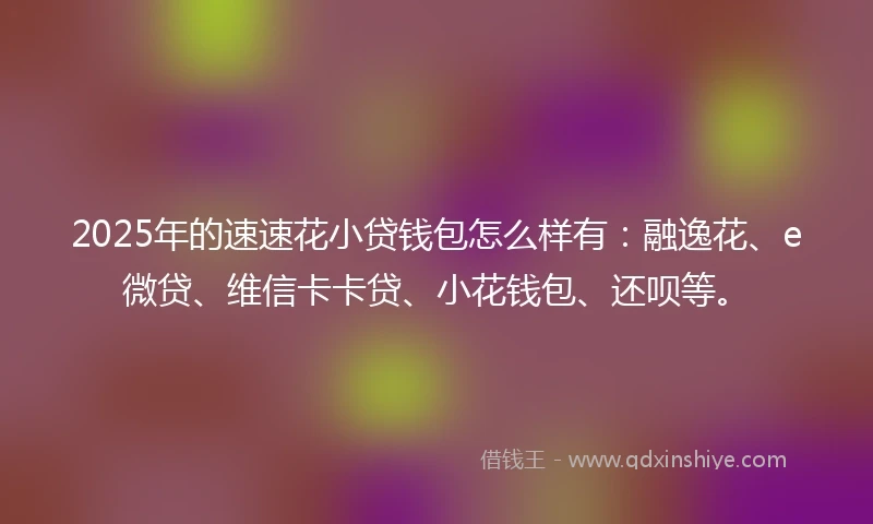 2025年的速速花小贷钱包怎么样有：融逸花、e微贷、维信卡卡贷、小花钱包、还呗等。
