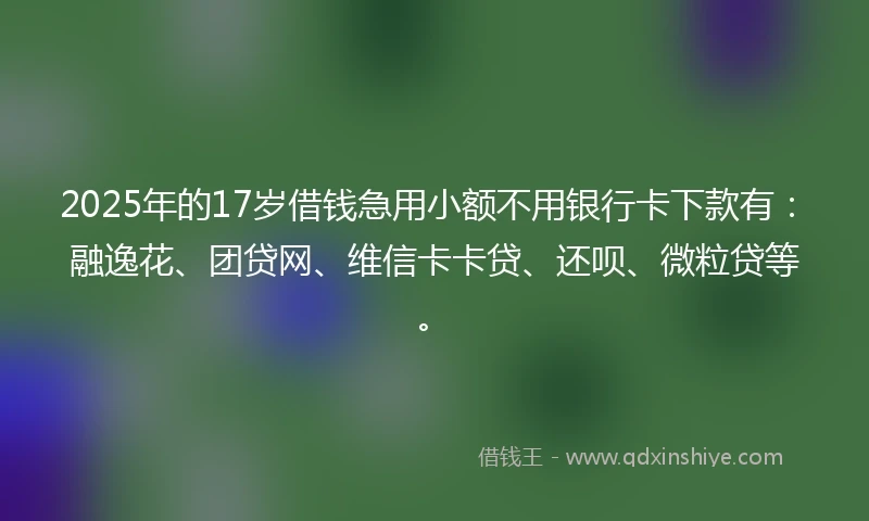 2025年的17岁借钱急用小额不用银行卡下款有：融逸花、团贷网、维信卡卡贷、还呗、微粒贷等。