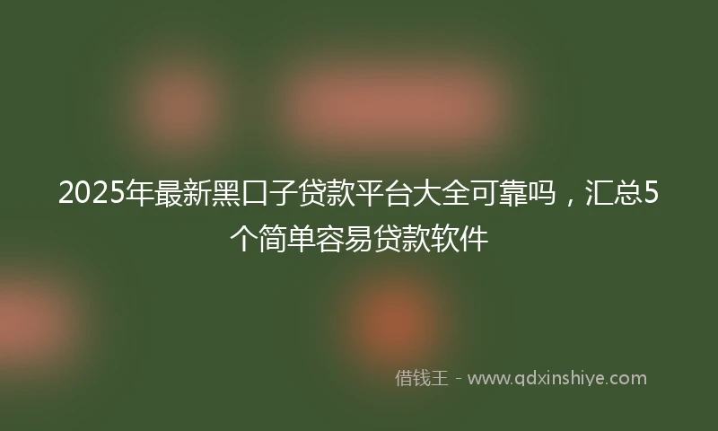 2025年最新黑口子贷款平台大全可靠吗，汇总5个简单容易贷款软件