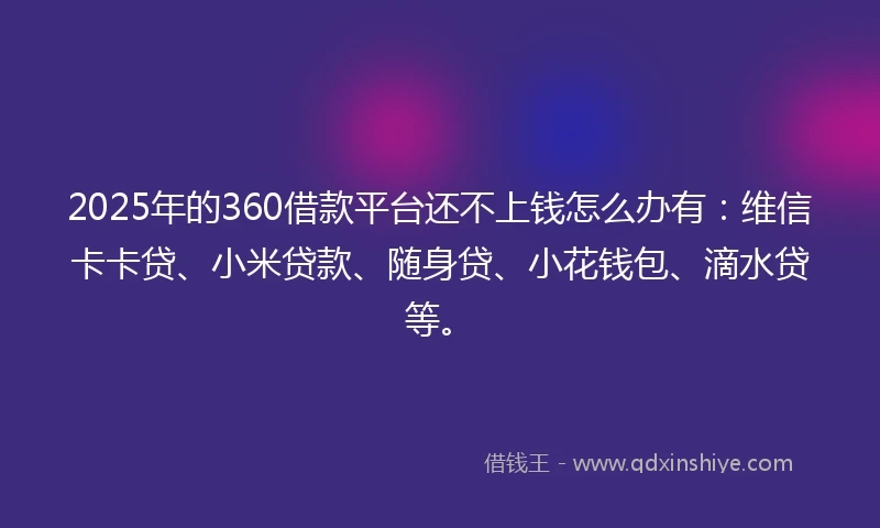 2025年的360借款平台还不上钱怎么办有：维信卡卡贷、小米贷款、随身贷、小花钱包、滴水贷等。