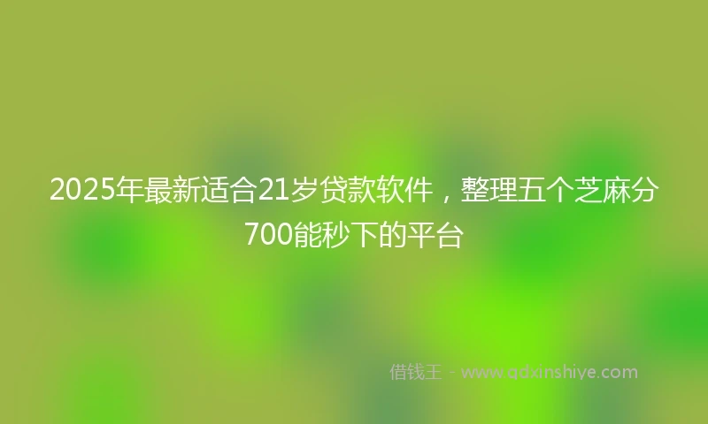 2025年最新适合21岁贷款软件，整理五个芝麻分700能秒下的平台