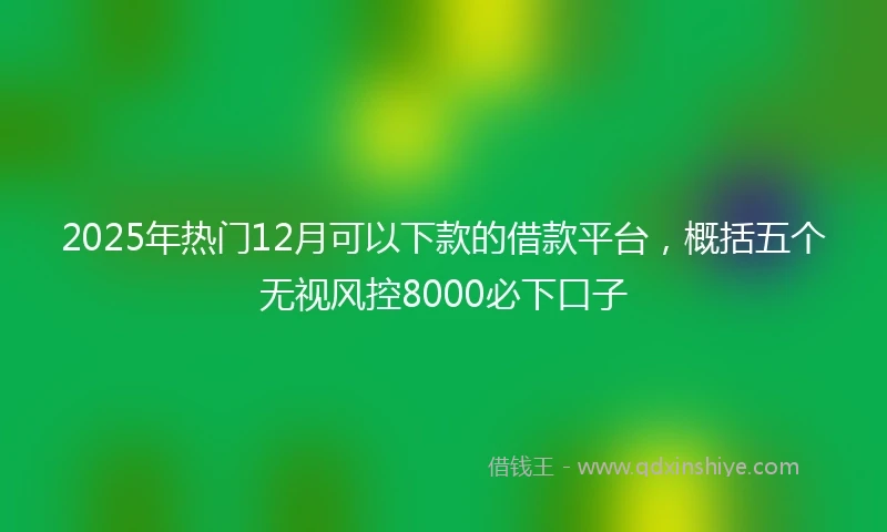 2025年热门12月可以下款的借款平台，概括五个无视风控8000必下口子