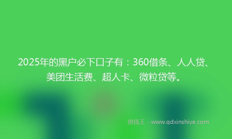 2025年的黑户必下口子有:360借条、人人贷、美团生活费、超人卡、微粒贷等。