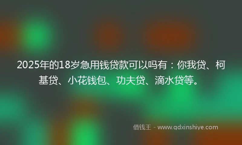2025年的18岁急用钱贷款可以吗有:你我贷、柯基贷、小花钱包、功夫贷、滴水贷等。