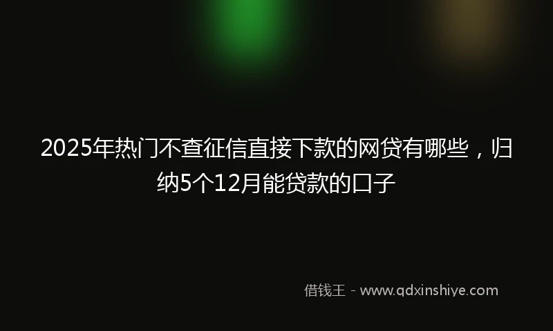 2025年热门不查征信直接下款的网贷有哪些,归纳5个12月能贷款的口子