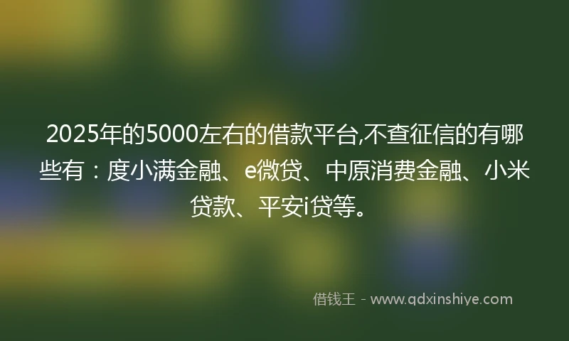2025年的5000左右的借款平台,不查征信的有哪些有：度小满金融、e微贷、中原消费金融、小米贷款、平安i贷等。