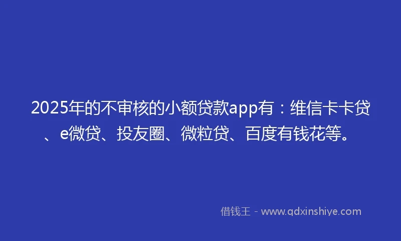 2025年的不审核的小额贷款app有：维信卡卡贷、e微贷、投友圈、微粒贷、百度有钱花等。