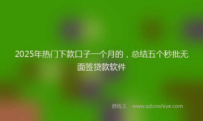 2025年热门下款口子一个月的，总结五个秒批无面签贷款软件