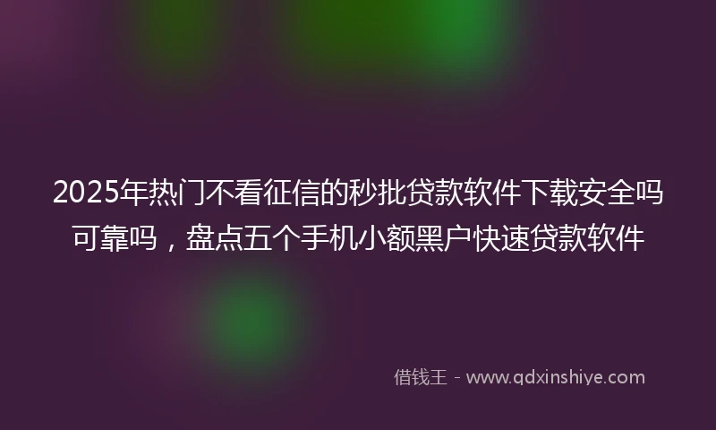 2025年热门不看征信的秒批贷款软件下载安全吗可靠吗,盘点五个手机小额黑户快速贷款软件