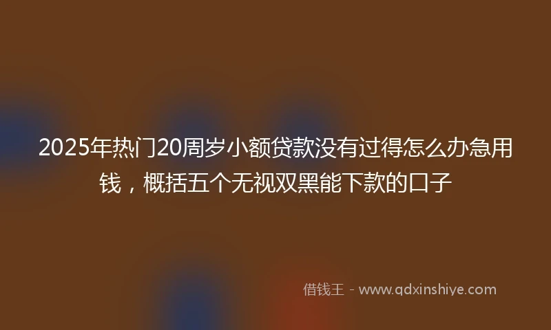 2025年热门20周岁小额贷款没有过得怎么办急用钱，概括五个无视双黑能下款的口子