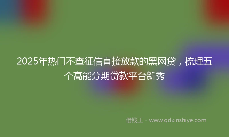 2025年热门不查征信直接放款的黑网贷，梳理五个高能分期贷款平台新秀
