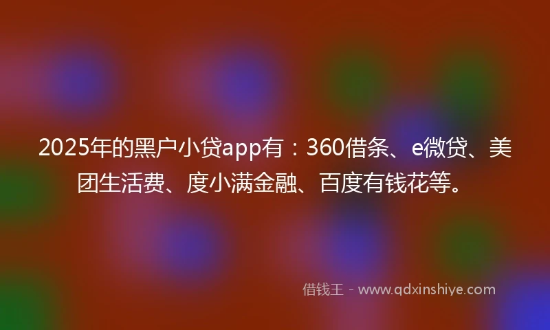 2025年的黑户小贷app有：360借条、e微贷、美团生活费、度小满金融、百度有钱花等。
