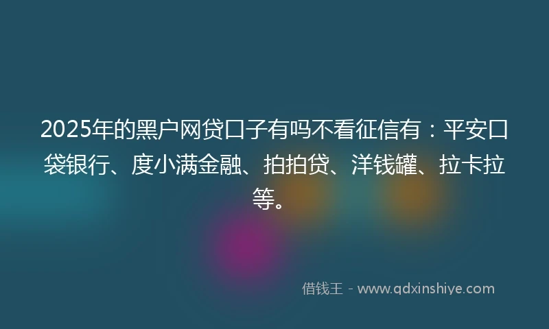 2025年的黑户网贷口子有吗不看征信有：平安口袋银行、度小满金融、拍拍贷、洋钱罐、拉卡拉等。