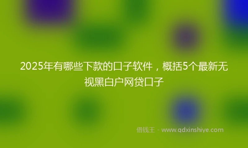 2025年有哪些下款的口子软件，概括5个最新无视黑白户网贷口子