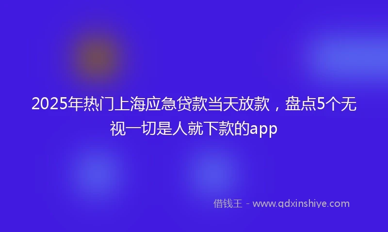 2025年热门上海应急贷款当天放款,盘点5个无视一切是人就下款的app