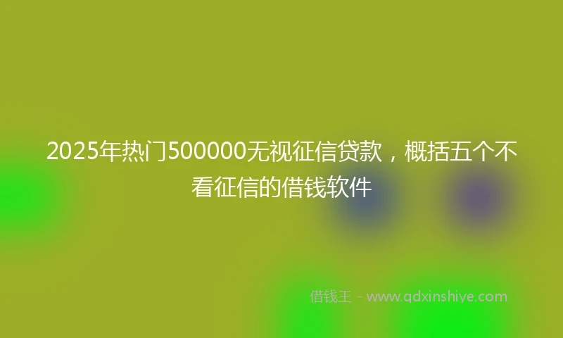 2025年热门500000无视征信贷款，概括五个不看征信的借钱软件