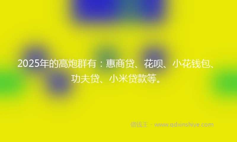 2025年的高炮群有：惠商贷、花呗、小花钱包、功夫贷、小米贷款等。