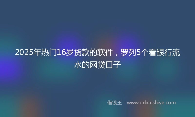 2025年热门16岁货款的软件，罗列5个看银行流水的网贷口子