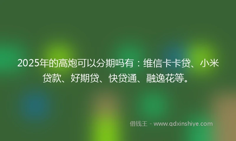 2025年的高炮可以分期吗有：维信卡卡贷、小米贷款、好期贷、快贷通、融逸花等。