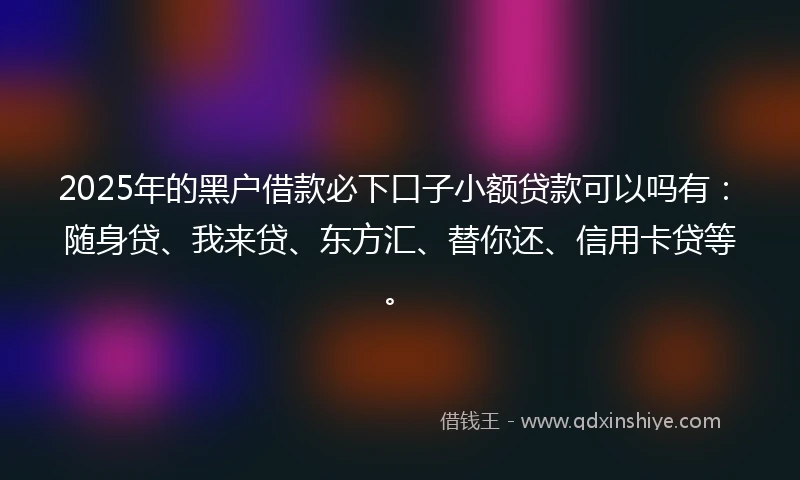 2025年的黑户借款必下口子小额贷款可以吗有：随身贷、我来贷、东方汇、替你还、信用卡贷等。