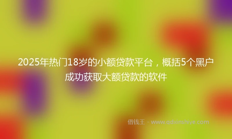2025年热门18岁的小额贷款平台，概括5个黑户成功获取大额贷款的软件