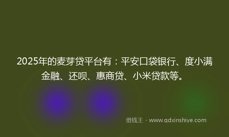 2025年的麦芽贷平台有：平安口袋银行、度小满金融、还呗、惠商贷、小米贷款等。