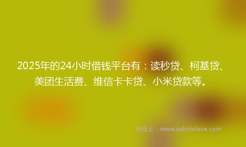 2025年的24小时借钱平台有：读秒贷、柯基贷、美团生活费、维信卡卡贷、小米贷款等。