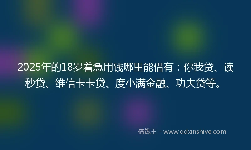 2025年的18岁着急用钱哪里能借有:你我贷、读秒贷、维信卡卡贷、度小满金融、功夫贷等。
