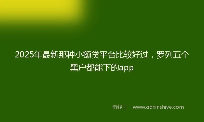 2025年最新那种小额贷平台比较好过,罗列五个黑户都能下的app