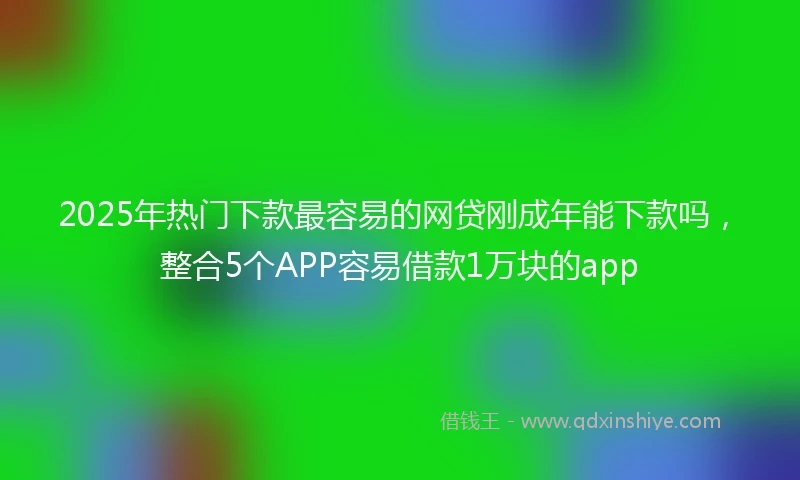 2025年热门下款最容易的网贷刚成年能下款吗，整合5个APP容易借款1万块的app