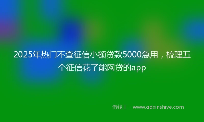 2025年热门不查征信小额贷款5000急用，梳理五个征信花了能网贷的app