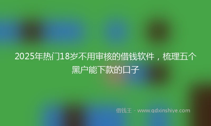 2025年热门18岁不用审核的借钱软件，梳理五个黑户能下款的口子