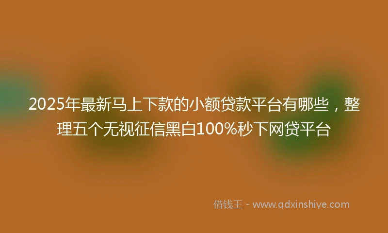 2025年最新马上下款的小额贷款平台有哪些，整理五个无视征信黑白100%秒下网贷平台