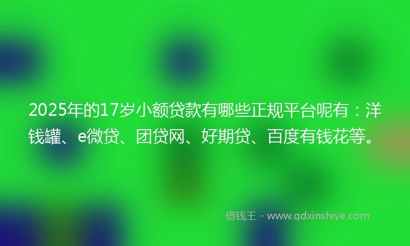 2025年的17岁小额贷款有哪些正规平台呢有：洋钱罐、e微贷、团贷网、好期贷、百度有钱花等。